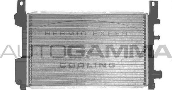 Autogamma 103169 - Радиатор, охлаждение двигателя autosila-amz.com
