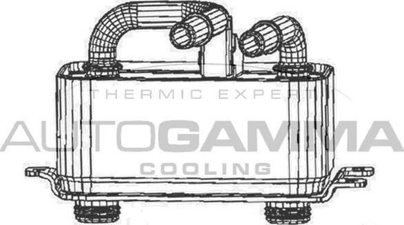 Autogamma 103892 - Масляный радиатор, двигательное масло autosila-amz.com