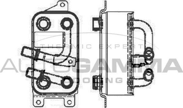 Autogamma 103861 - Масляный радиатор, двигательное масло autosila-amz.com