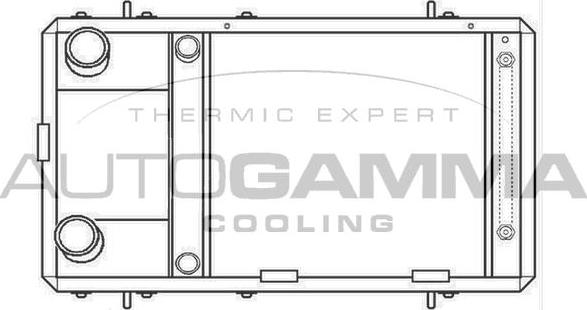 Autogamma 103873 - Радиатор, охлаждение двигателя autosila-amz.com