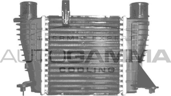 Autogamma 103381 - Интеркулер, теплообменник турбины autosila-amz.com