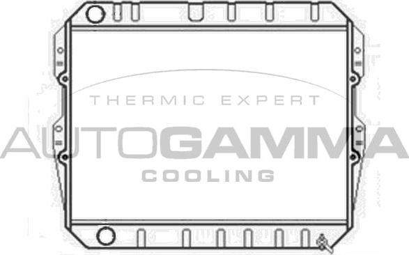 Autogamma 102974 - Радиатор, охлаждение двигателя autosila-amz.com