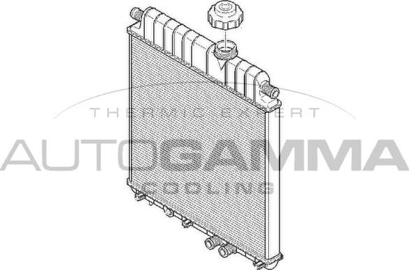 Autogamma 102021 - Радиатор, охлаждение двигателя autosila-amz.com