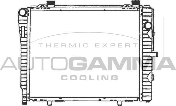 Autogamma 102166 - Радиатор, охлаждение двигателя autosila-amz.com