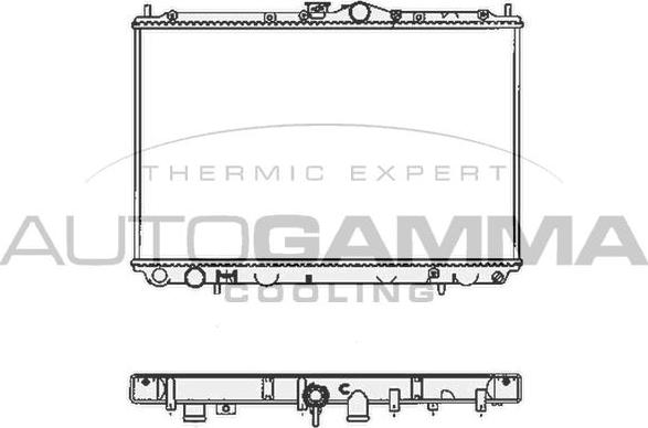 Autogamma 102171 - Радиатор, охлаждение двигателя autosila-amz.com