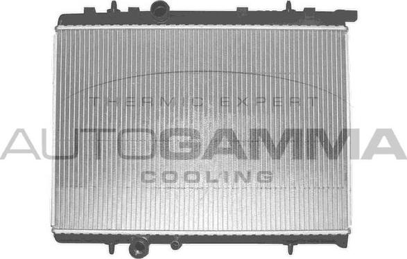 Autogamma 102876 - Радиатор, охлаждение двигателя autosila-amz.com