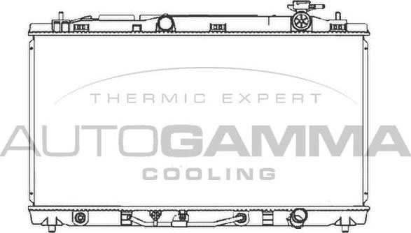 Autogamma 107062 - Радиатор, охлаждение двигателя autosila-amz.com