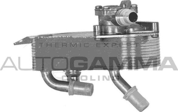 Autogamma 107013 - Масляный радиатор, двигательное масло autosila-amz.com