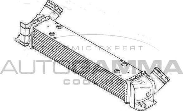 Autogamma 107335 - Интеркулер, теплообменник турбины autosila-amz.com