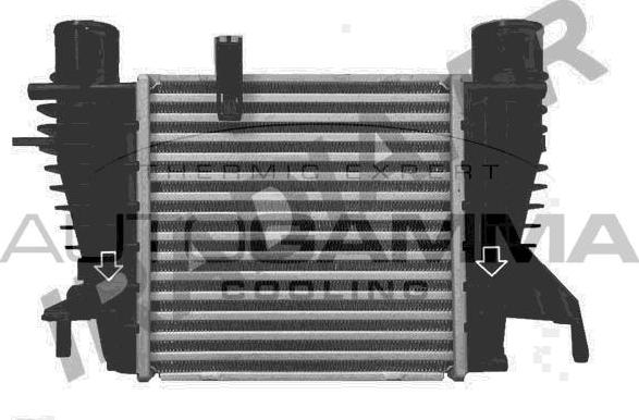 Autogamma 107257 - Интеркулер, теплообменник турбины autosila-amz.com