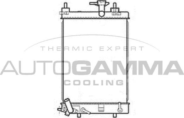 Autogamma 107206 - Радиатор, охлаждение двигателя autosila-amz.com