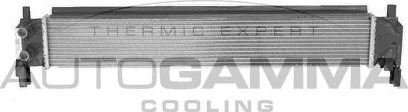 Autogamma 107718 - Радиатор, охлаждение двигателя autosila-amz.com