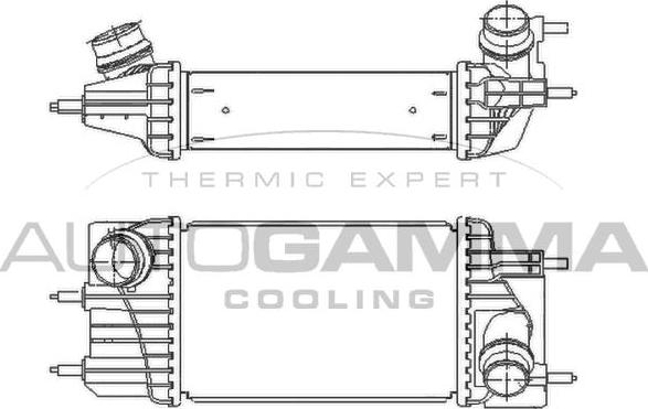 Autogamma 110019 - Интеркулер, теплообменник турбины autosila-amz.com