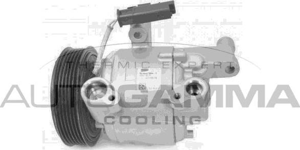 Autogamma 118590 - Компрессор кондиционера autosila-amz.com