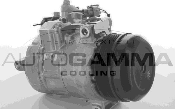 Autogamma 118602 - Компрессор кондиционера autosila-amz.com