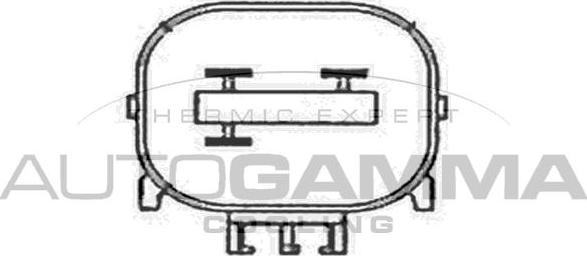 Autogamma GA200852 - Вентилятор, охлаждение двигателя autosila-amz.com