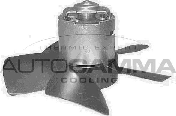 Autogamma GA20142 - Вентилятор салона autosila-amz.com