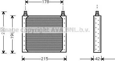 Ava Quality Cooling RT 3146 - Масляный радиатор, двигательное масло autosila-amz.com