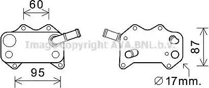 Ava Quality Cooling VW3329 - Масляный радиатор, двигательное масло autosila-amz.com