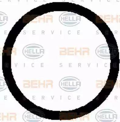 BEHR HELLA Service 8FK 351 126-141 - Компрессор кондиционера autosila-amz.com