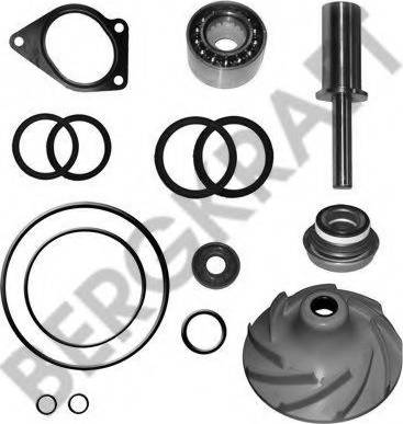 BergKraft BK4197722WP - Ремкомплект, водяной насос autosila-amz.com
