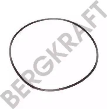 BergKraft BK28311021SP - Уплотнительное кольцо, резьбовая пробка маслосливного отверстия autosila-amz.com