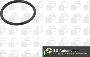 BGA AG0670 - Прокладка, вакуумный насос autosila-amz.com
