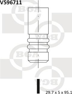 BGA V596711 - Впускной клапан autosila-amz.com