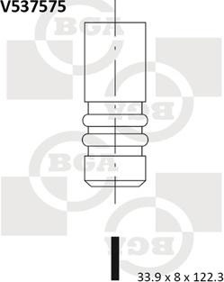 BGA V537575 - Впускной клапан autosila-amz.com