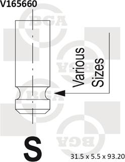 BGA V165660 - Впускной клапан autosila-amz.com