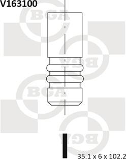 BGA V163100 - Впускной клапан autosila-amz.com