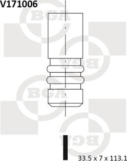 BGA V171006 - Впускной клапан autosila-amz.com