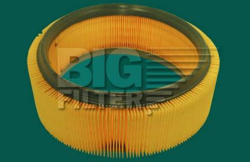 BIG Filter GB-9113 - Воздушный фильтр, двигатель autosila-amz.com