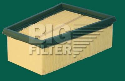 BIG Filter GB-9719 - Воздушный фильтр, двигатель autosila-amz.com