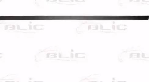 BLIC 5703-04-0014572P - Облицовка / защитная накладка, крыло autosila-amz.com