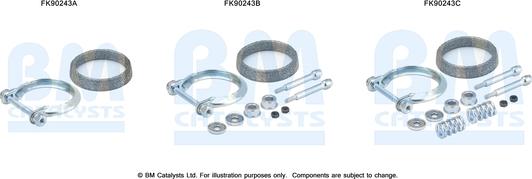 BM Catalysts FK90243 - Монтажный комплект, катализатор autosila-amz.com