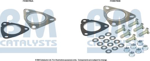 BM Catalysts FK90795 - Монтажный комплект, катализатор autosila-amz.com