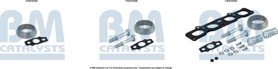 BM Catalysts FK91976 - Монтажный комплект, катализатор autosila-amz.com