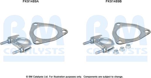 BM Catalysts FK91489 - Монтажный комплект, катализатор autosila-amz.com