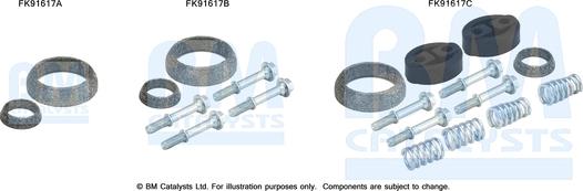 BM Catalysts FK91617 - Монтажный комплект, катализатор autosila-amz.com