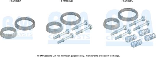 BM Catalysts FK91839 - Монтажный комплект, катализатор autosila-amz.com