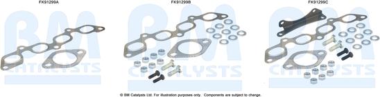 BM Catalysts FK91299 - Монтажный комплект, катализатор autosila-amz.com