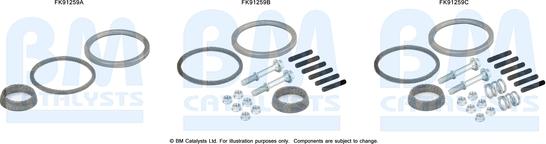 BM Catalysts FK91259 - Монтажный комплект, катализатор autosila-amz.com