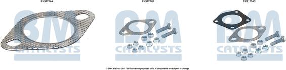 BM Catalysts FK91234 - Монтажный комплект, катализатор autosila-amz.com