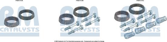 BM Catalysts FK91717 - Монтажный комплект, катализатор autosila-amz.com