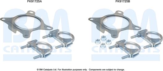 BM Catalysts FK91725 - Монтажный комплект, катализатор autosila-amz.com