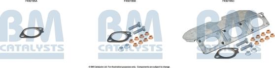 BM Catalysts FK92195 - Монтажный комплект, катализатор autosila-amz.com