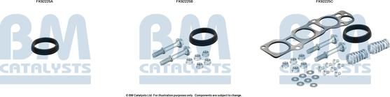 BM Catalysts FK92225 - Монтажный комплект, катализатор autosila-amz.com