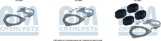 BM Catalysts FK11099 - Монтажный комплект, сажевый / частичный фильтр autosila-amz.com