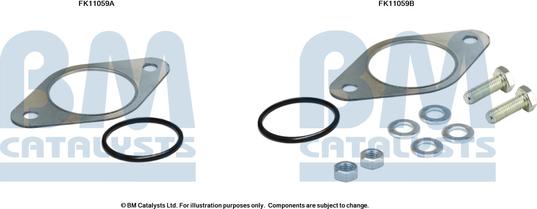 BM Catalysts FK11059 - Монтажный комплект, сажевый / частичный фильтр autosila-amz.com